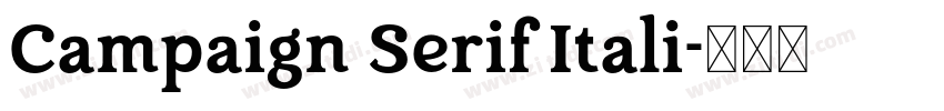 Campaign Serif Itali字体转换